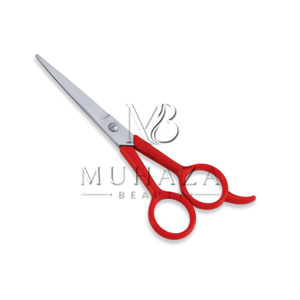 Economy Barber Scissor